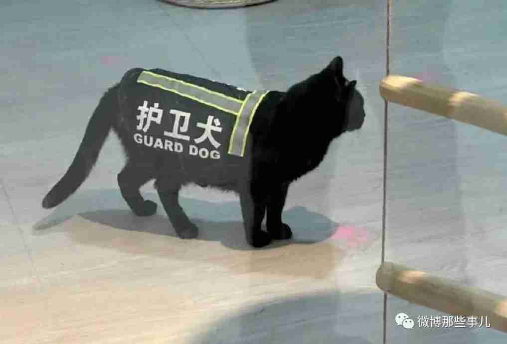 【今日爆笑大集合】老板把最喜欢的秘书开除了