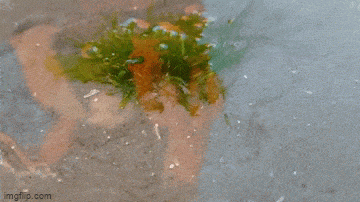 【今日爆笑动态图】助你一棍之力