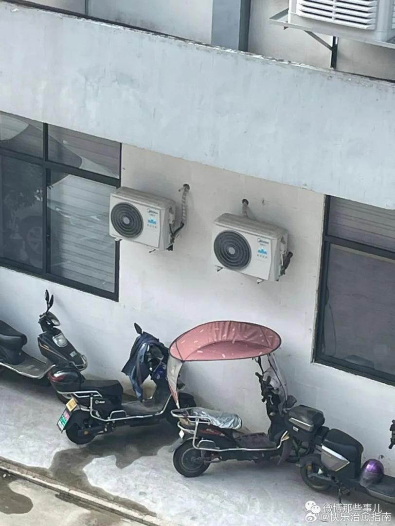 生活中都处处都能看到可爱的事物，笑死我了，小东西还挺别致