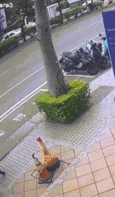 【今日爆笑动态图】好标准的姿势