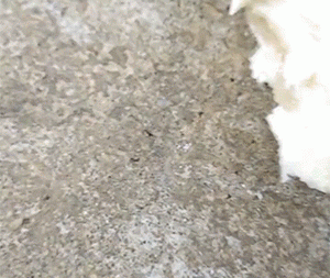 【今日爆笑动态图】女子穿长裙出门和闺蜜逛街，不料沦为闺蜜们取暖的被子