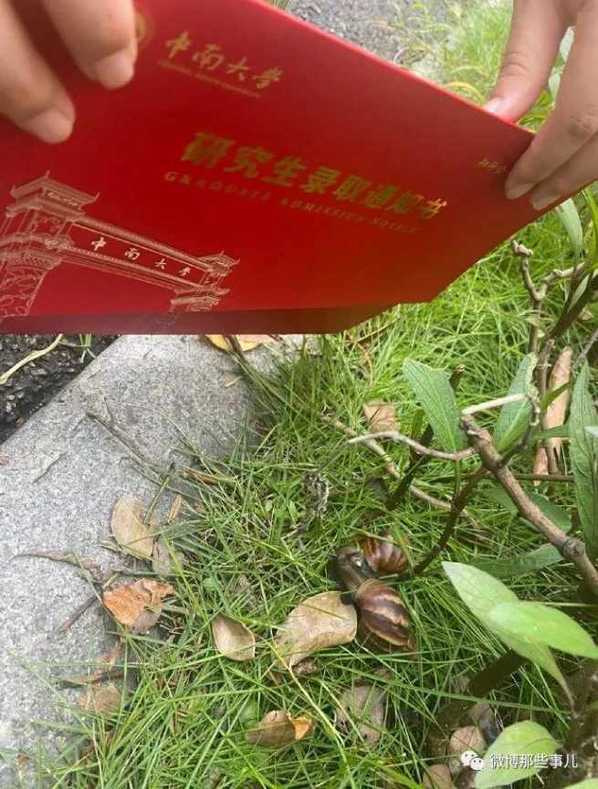 【今日爆笑大集合】哈哈哈哈哈哈哈显眼包